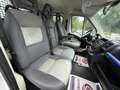 Fiat Ducato Ducato Maxi Pack 3.5 XL 2.3 Multijet - 130 - BV Comfort-Matic BENNE DOUBLE CABINE - TVA RECUPERABLE - thumbnail 13