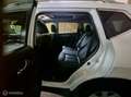 Nissan X-Trail 1.6 dCi Business Zeer weinig originele KM Wit - thumbnail 17