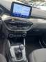 Ford Kuga 2.0 ecoblue mhev Titanium 2wd 150cv*DIESEL IBRIDA Grigio - thumbnail 13