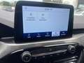 Ford Kuga 2.0 ecoblue mhev Titanium 2wd 150cv*DIESEL IBRIDA Grigio - thumbnail 14