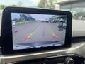Ford Kuga 2.0 ecoblue mhev Titanium 2wd 150cv*DIESEL IBRIDA Grigio - thumbnail 15