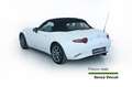 Mazda MX-5 MX-5 1.5L Skyactiv-G Exceed Bianco - thumbnail 6