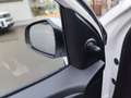 Hyundai i10 1.0 Benzin Select 5-Gang Schaltgetriebe 2WD Weiß - thumbnail 11