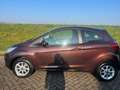 Ford Ka/Ka+ 1.2i Champions Edition start/stop Airco LM Velgen Bruin - thumbnail 2