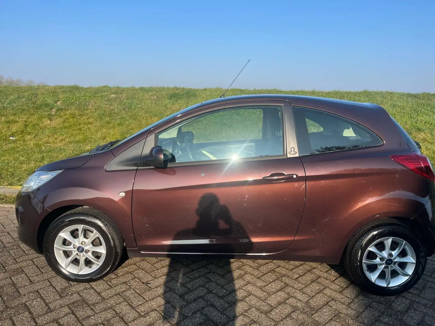 Ford Ka/Ka+ 1.2i Champions Edition start/stop Airco LM Velgen Bruin - 2
