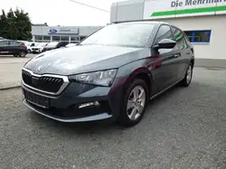 Skoda Scala Ambition *DSG*Climatronic*Sitzheizung*