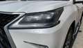 Lexus Sonstige LX450+V8!+TurboDIESEL+NEU+2023+VOLL+20*STOCK Weiß - thumbnail 5