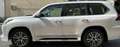 Lexus Sonstige LX450+V8!+TurboDIESEL+NEU+2023+VOLL+20*STOCK Weiß - thumbnail 27