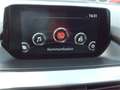 Mazda 6 Sport Combi G145 Attraction 8fach Aluräder Brun - thumbnail 19