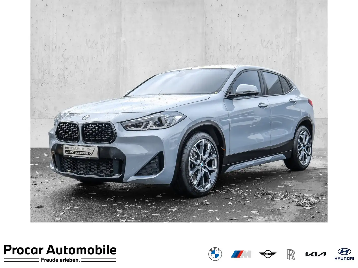 BMW X2 sDrive20i AHK NAVI LED Sound Syst. PDC V+H Grau - 1