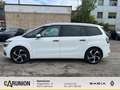 Citroen C4 Picasso Grand C4 Picasso Blue HDI 150 EA T6 Shine Weiß - thumbnail 11