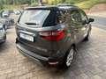 Ford EcoSport Titanium B&O Assistenz-Paket Grau - thumbnail 6