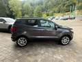 Ford EcoSport Titanium B&O Assistenz-Paket Grau - thumbnail 5