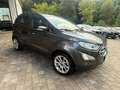 Ford EcoSport Titanium B&O Assistenz-Paket Grau - thumbnail 4