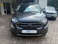 Ford EcoSport Titanium B&O Assistenz-Paket Grau - thumbnail 3