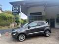 Ford EcoSport Titanium B&O Assistenz-Paket Grau - thumbnail 1
