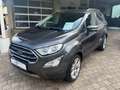 Ford EcoSport Titanium B&O Assistenz-Paket Grau - thumbnail 2