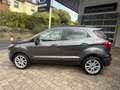 Ford EcoSport Titanium B&O Assistenz-Paket Grau - thumbnail 10