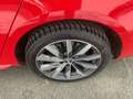 Audi A4 40 TDI S-tronic Pickerl neu 01/2027 Finanzierun... Rot - thumbnail 21