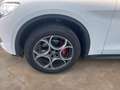 Alfa Romeo Stelvio 2.2 Turbodiesel 210 CV AT8 Q4 Executive Wit - thumbnail 17