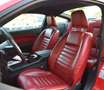 Ford Mustang GT 4.6 V8 SHELBY TEMPOMAT KLIMA 1.HAND Rot - thumbnail 11