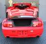 Ford Mustang GT 4.6 V8 SHELBY TEMPOMAT KLIMA 1.HAND Rot - thumbnail 15