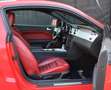 Ford Mustang GT 4.6 V8 SHELBY TEMPOMAT KLIMA 1.HAND Rot - thumbnail 12