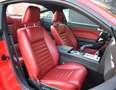 Ford Mustang GT 4.6 V8 SHELBY TEMPOMAT KLIMA 1.HAND Rot - thumbnail 13