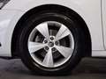 Skoda Octavia wagon 1.5 g-tec executive 130cv dsg Weiß - thumbnail 6