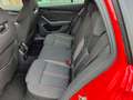 Skoda Octavia RS iV Rot - thumbnail 7