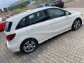 Mercedes-Benz B 200 CDI Blanc - thumbnail 15
