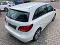 Mercedes-Benz B 200 CDI Wit - thumbnail 21