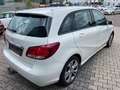 Mercedes-Benz B 200 CDI Blanc - thumbnail 4