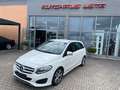 Mercedes-Benz B 200 CDI Wit - thumbnail 18