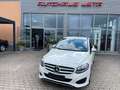 Mercedes-Benz B 200 CDI Wit - thumbnail 17