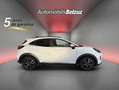 Ford Puma 1.0 EcoBoost MHEV Titanium Design 125 Blanco - thumbnail 18