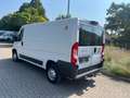 Fiat Ducato Kasten 35 140 Natural Power L2H1 RS: 3450 Weiß - thumbnail 2