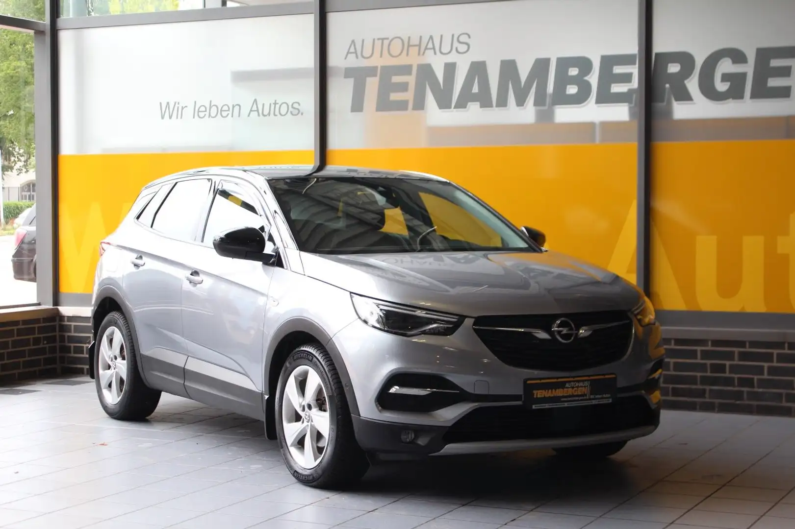 Opel Grandland X 2.0 Inno Kamera Keyless LED AHK Grau - 2