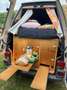 Volkswagen T4 Kombi camper - thumbnail 5