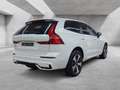 Volvo XC60 T6 Plus Dark Recharge Plug-In Hybrid AWD Blanc - thumbnail 2