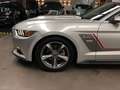 Ford Mustang MUSTANG 3.7 ROUSH DESIGN, GÄNSEHAUT GARANTIERT!" Gris - thumbnail 12