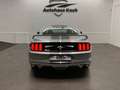Ford Mustang MUSTANG 3.7 ROUSH DESIGN, GÄNSEHAUT GARANTIERT!" Gris - thumbnail 18