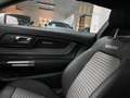 Ford Mustang MUSTANG 3.7 ROUSH DESIGN, GÄNSEHAUT GARANTIERT!" Gris - thumbnail 24