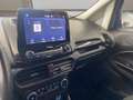 Ford EcoSport 1.0 ecoboost ST-Line s&s 125cv my20.25 Grijs - thumbnail 9