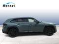 BMW XM AHK B&W Surround DAB Komfortzg. Grün - thumbnail 4