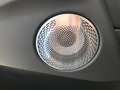 BMW XM AHK B&W Surround DAB Komfortzg. Grün - thumbnail 15