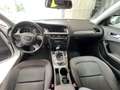 Audi A4 Avant 2.0 TDI 120 CV Advanced Bianco - thumbnail 13