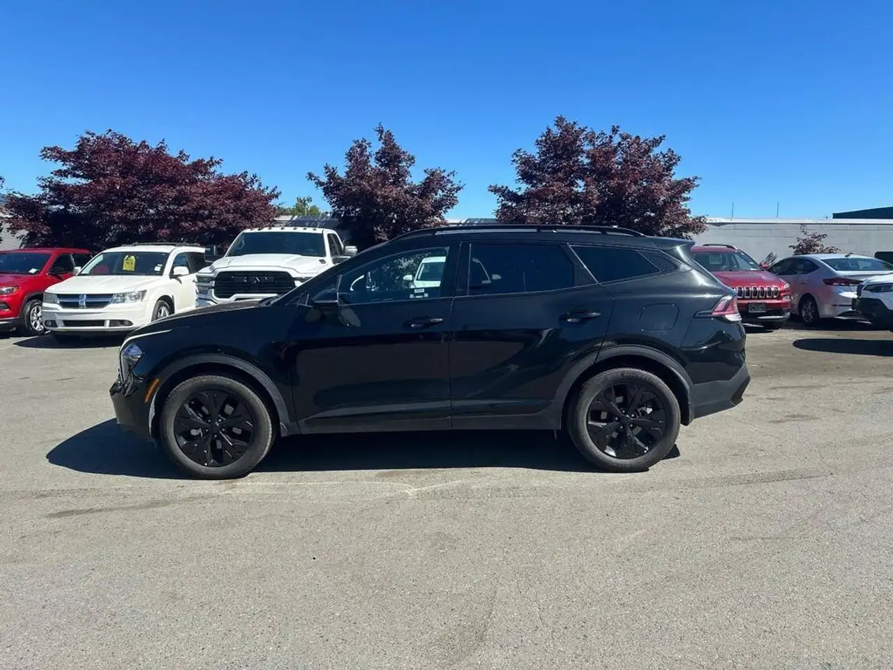 Kia Sportage photo Kia Sportage