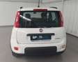 Fiat Panda 1.0 Gse City Live Hybrid Bianco - thumbnail 5