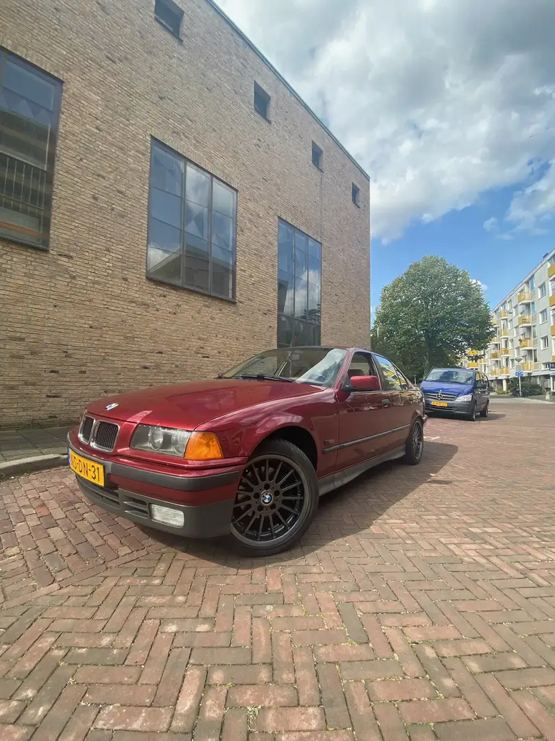 BMW 318 318i Executive Edition Rood - 2